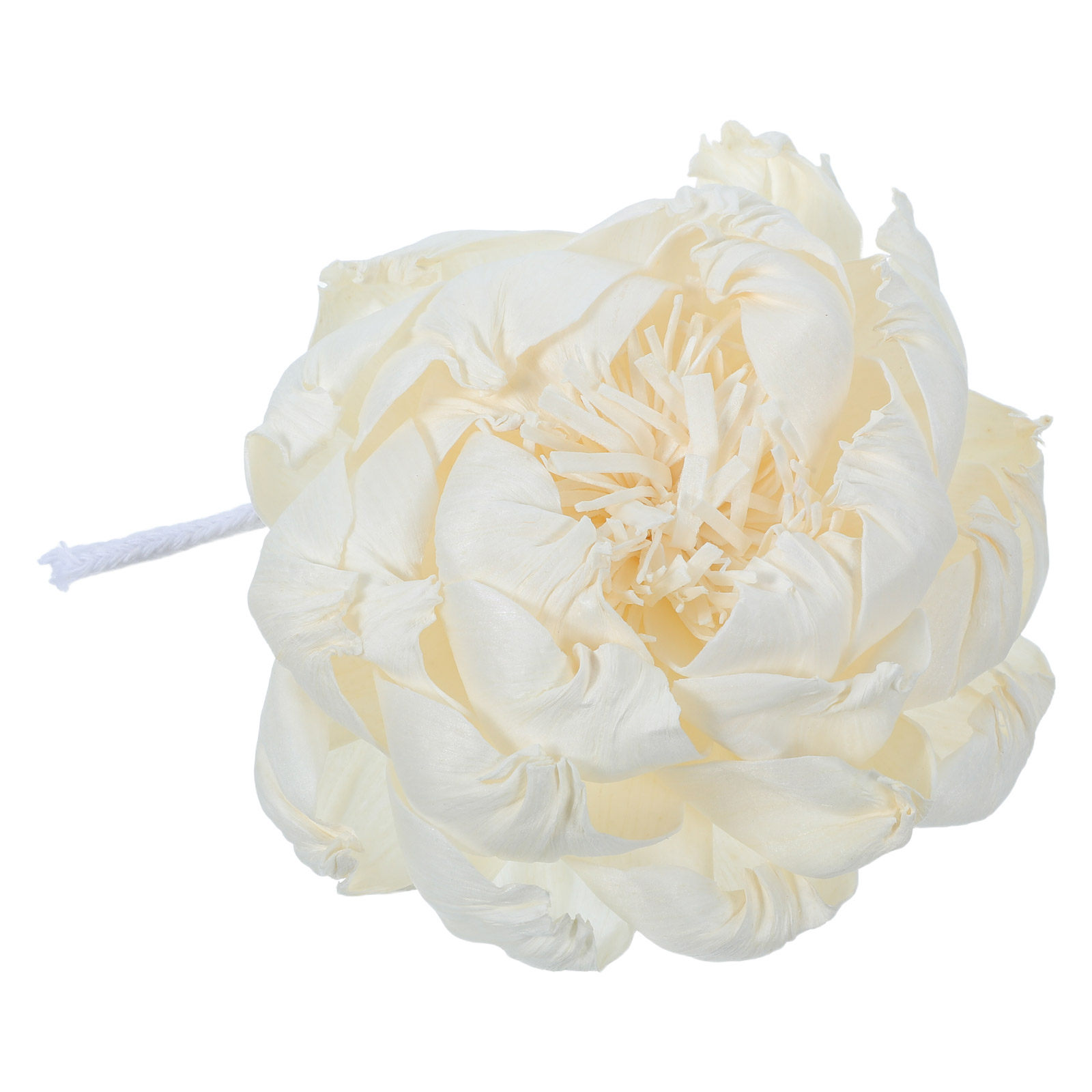 Pioenroos Geurverspreider 12Cm - Home Fragrance Diffuser Oil recensie en prijs