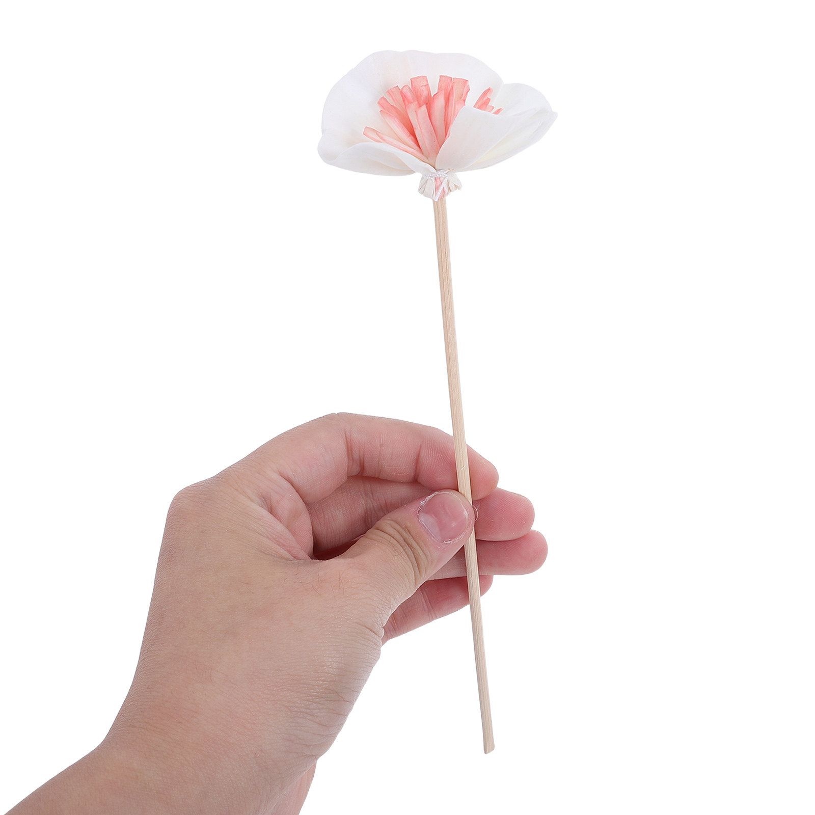 10 stuks zwarte essentiële oli - Home Fragrance Diffuser Oil recensie en prijs