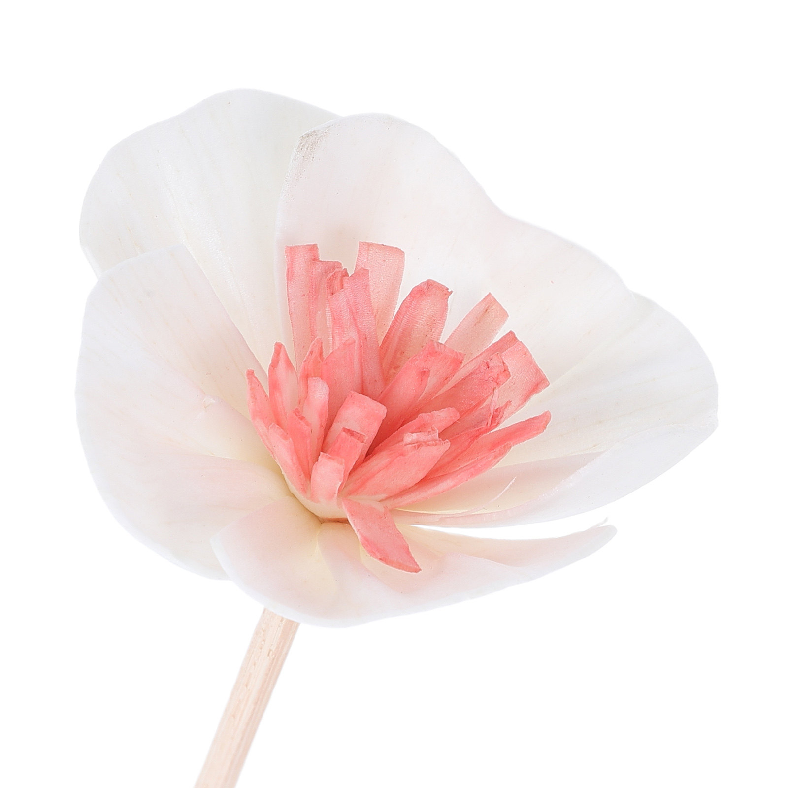 10 stuks zwarte essentiële oli - Home Fragrance Diffuser Oil recensie en prijs