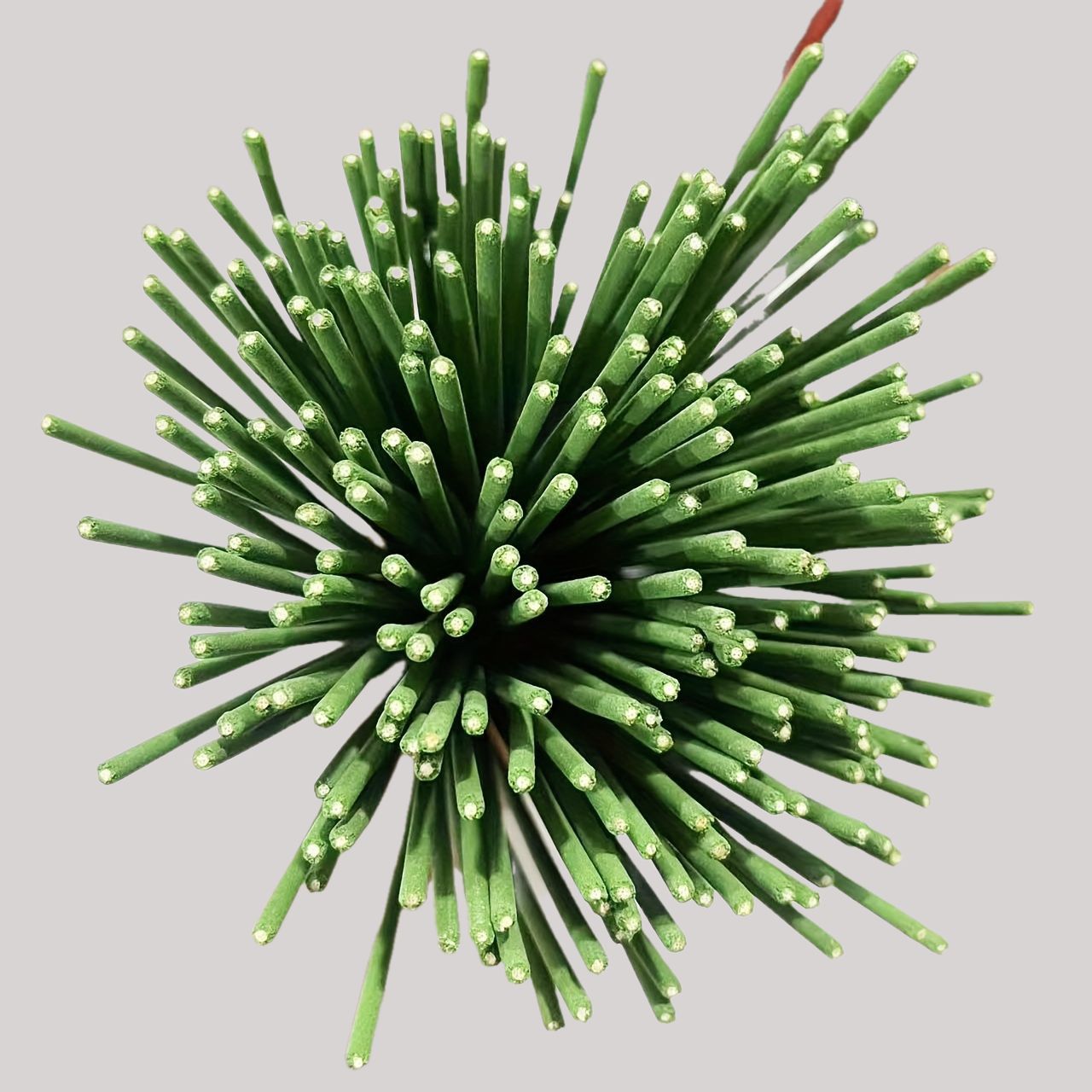 Riet Diffuser Sticks Citroengr - Home Fragrance Oud recensie en prijs