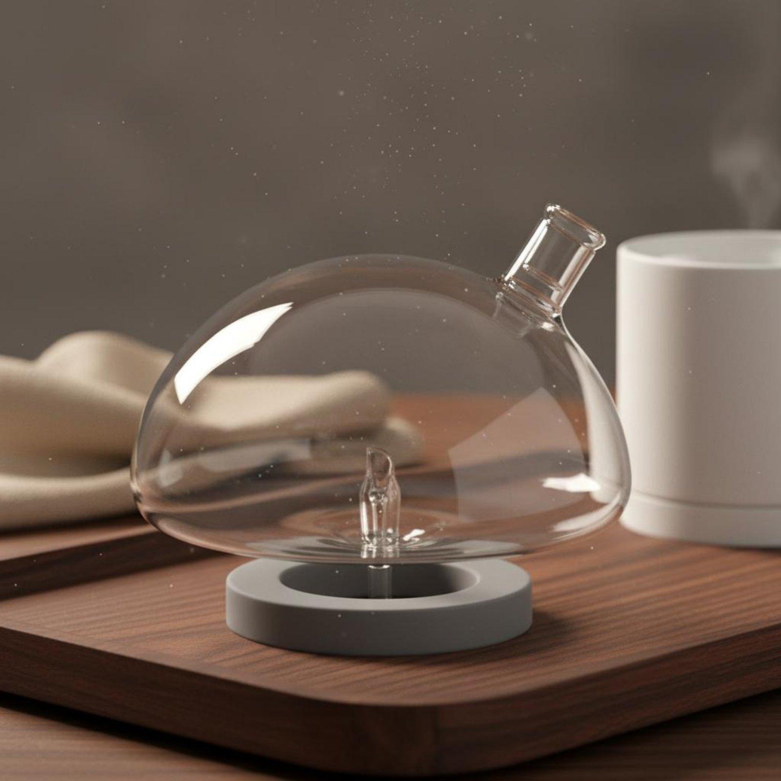 Diffuserfles Universele pasvor - Home Fragrance Diffuser recensie en prijs